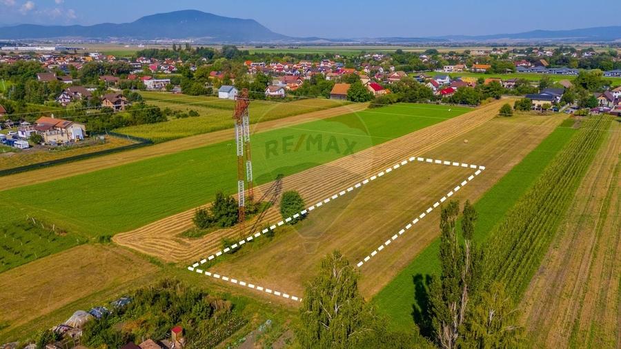 Teren Construcții intravilan de 3098 mp, în Stupini