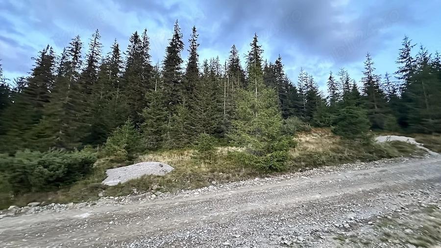 Teren de 2000 mp, în Băișoara