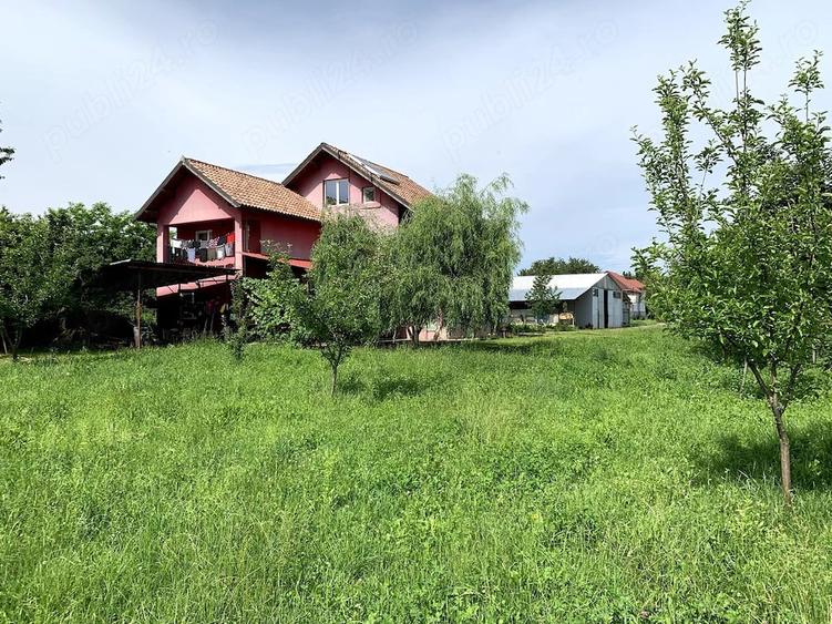 Teren de 20000 mp, în Urleta