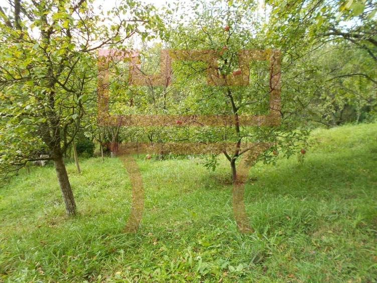 Sat Popesti vale construire imediata duplex 1.100mp zona spectaculoasa - 5