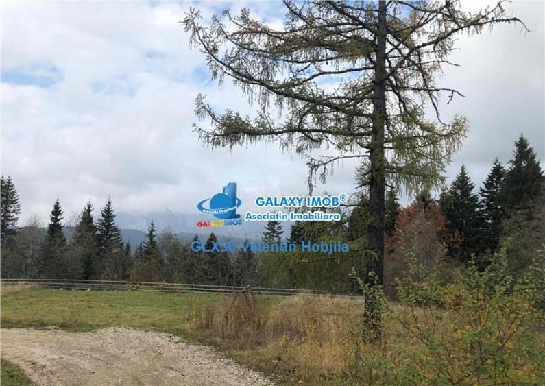 Teren 850 mp Predeal Cioplea - Belvedere - 1