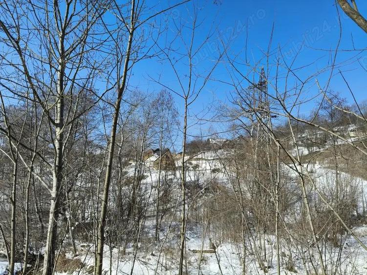 Teren situat in Predeal - 8