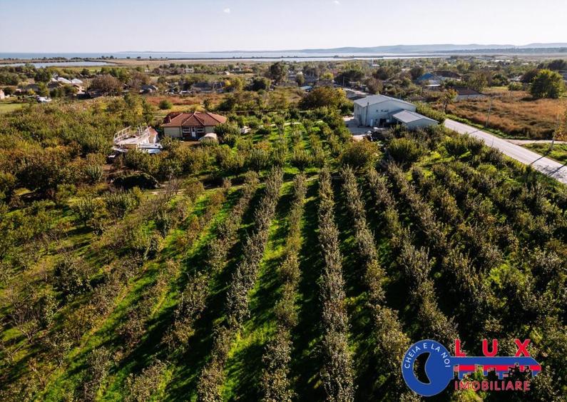 ID 7785 LIVADA SABANGIA DE VANZARE - 36