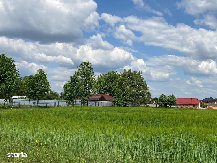 Teren intravilan + 600MP constructii metalice - 7