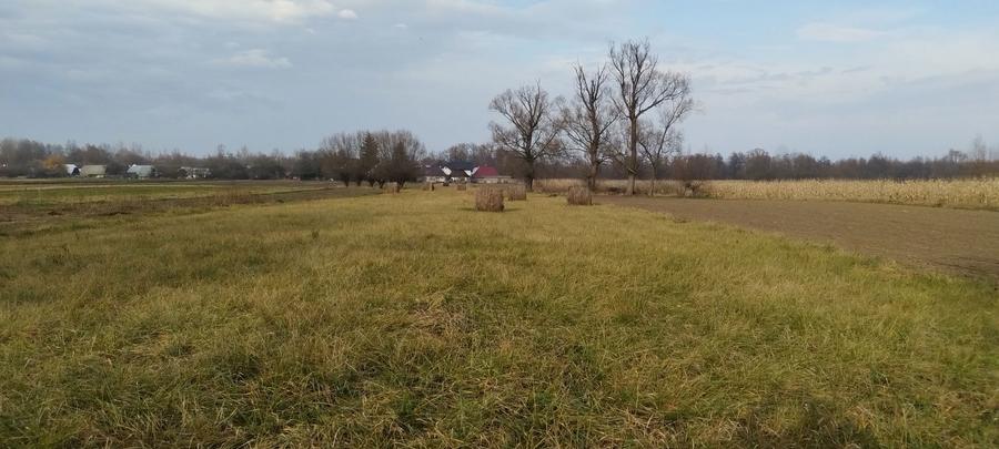 Vand casa+sura+anexa - 7