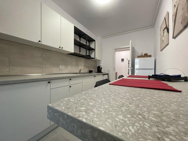 Studio cochet zona Parcul Carol - 9