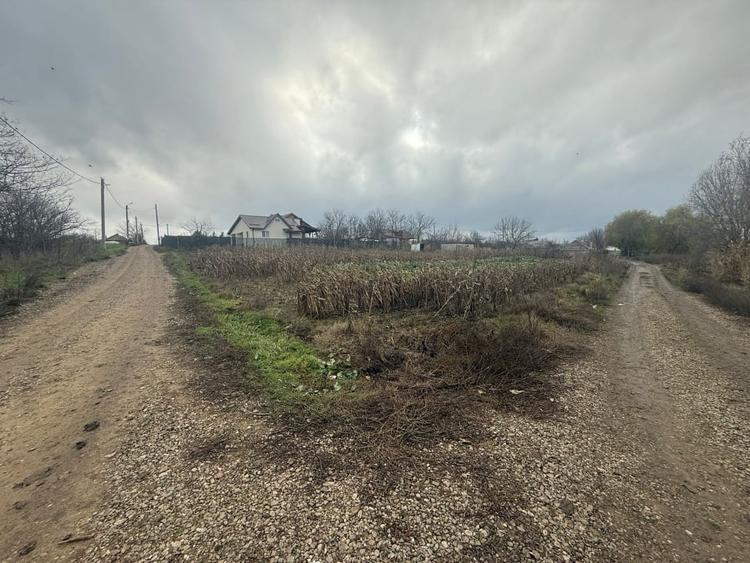 Teren 2.000 Mp | Ileana - Calarasi | Dubla Deschidere Stradala - 1