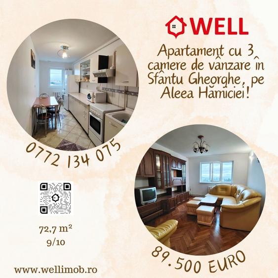 Apartament cu 3 camere de vânzare în Sfântu Gheorghe, pe Aleea Hărniciei! - 1