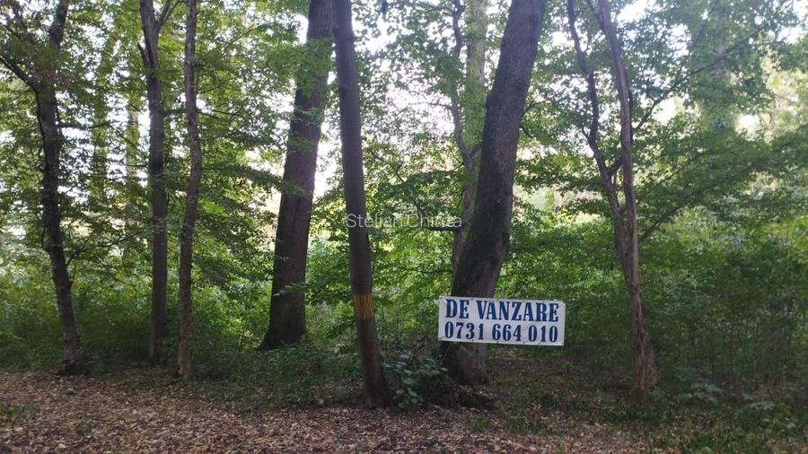 SUPER OCAZIE TEREN 4000MP DE VANZARE IN SNAGOV CU DESCHIDERE LA LACUL SNAGOV SUPER OCAZIE TEREN 4000MP DE VANZARE IN SNAGOV CU DESCHIDERE LA LACUL SNAGOV