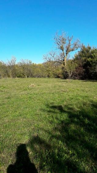 Teren intravilan în sat Făget, com. Drajna, Prahova - 7