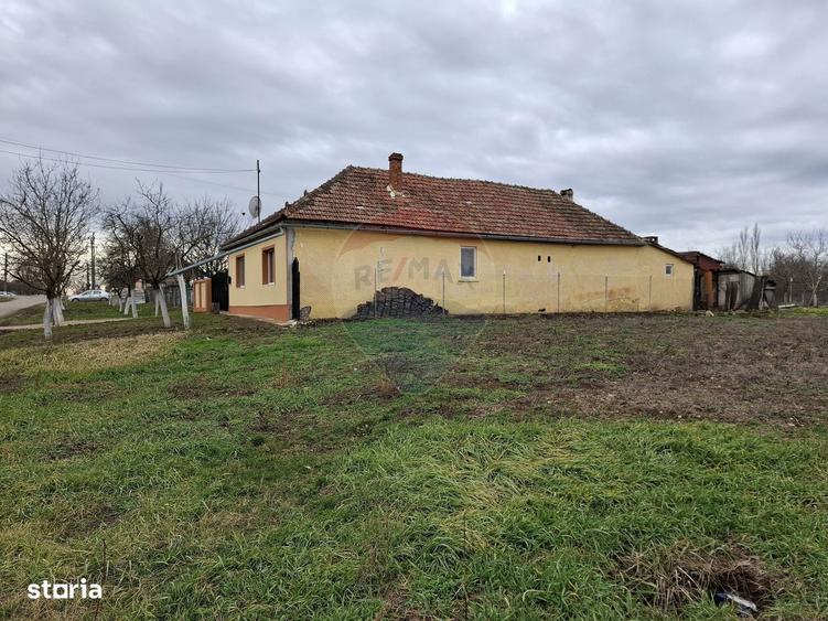 Teren intravilan 1,241mp Frumuseni, Arad - 3