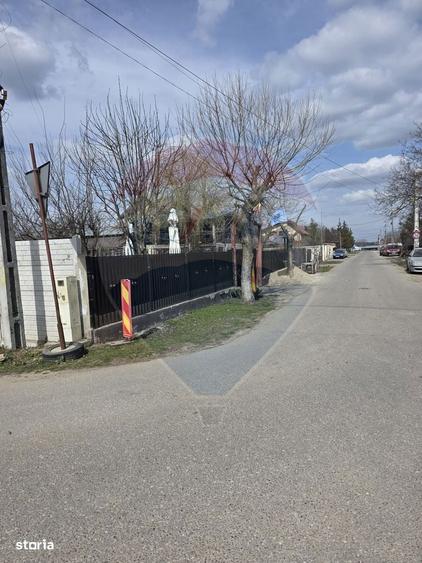 Teren Balotesti Dumbraveni 16.700 mp /8350 mp /loturi 500 mp - 2