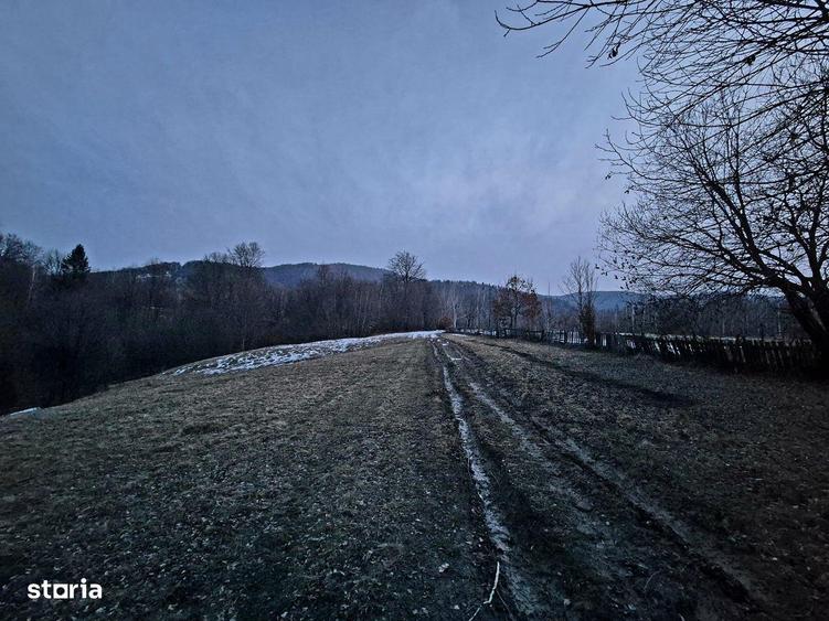 Teren 5000 mp extravilan Sinca Noua - 1
