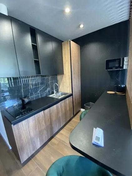 Garsoniera de inchiriat Zona Mosilor - 2