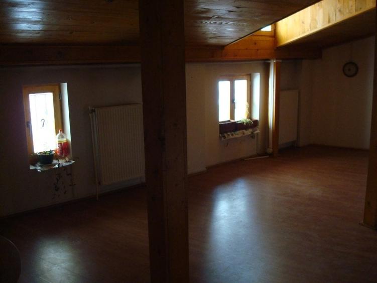 Inchiriere Vila P+M, Stirbei Voda-Parcul Cismigiu-Hotel Hilton Athenee Palace - 15