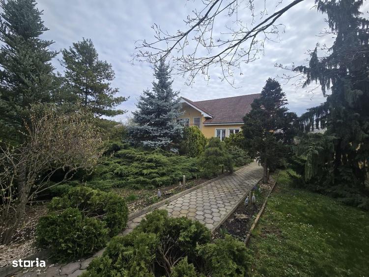 Proprietate rara | Casa cu 4 camere si teren 1.460 mp | Lucian Blaga - 13