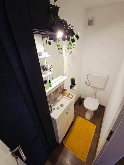 3 camere decomandat, 2 bai, renovat 2020 – Teiul Doamnei, zona linistita - 9