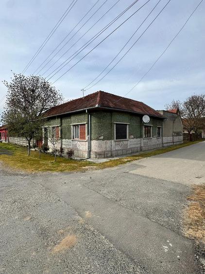 Casa de vanzare,localitatea Criciova, jude?ul Timi?, - 3