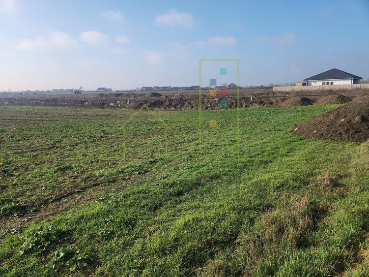 Teren agricol in intravilanul comunei Sacalaz. - 1