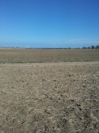 Exclusiv! Teren extravilan 10.000 mp - Cumpana - Malul canalului (Cod E3) - 5