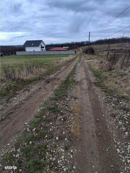 RECO Teren intravilan - 4