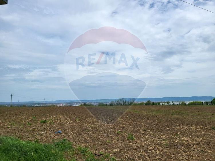 Teren in Magura/Bacau de vanzare - 1