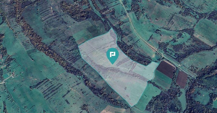 Teren de 87 Hectare de Arendat in Bara, Timi? - 5