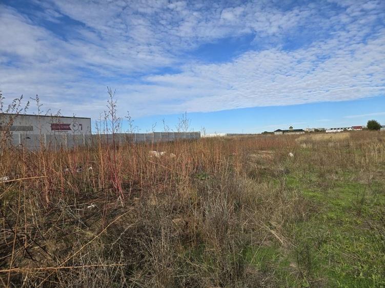 Teren intravilan 826mp langa Dedeman Giurgiului, strada Tiparnitei - 1