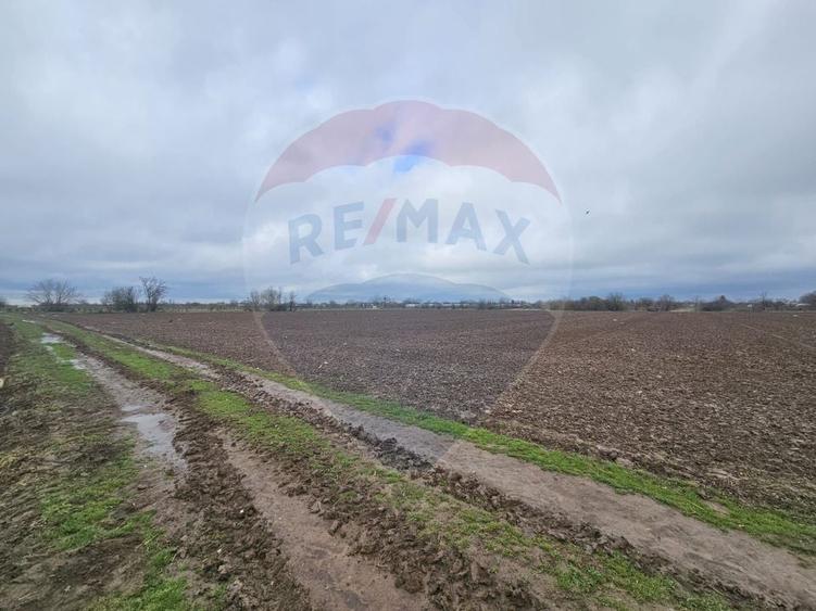 Parcel de teren casa de vanzare intravilan Primaria Adunatii-Copaceni - 1