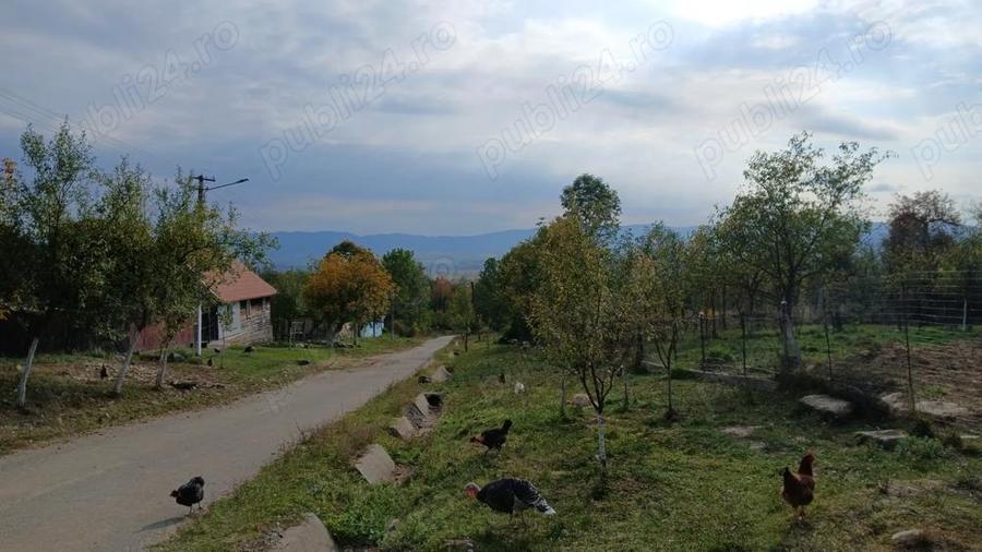 Loc de casa cu livada ?i corp de cladire - 7