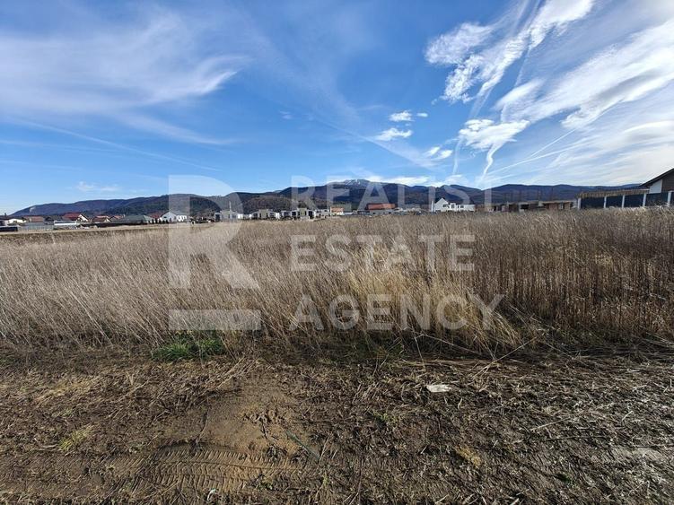 Vânzare, teren intravilan, 890 mp, Cristian, Brașov - 5