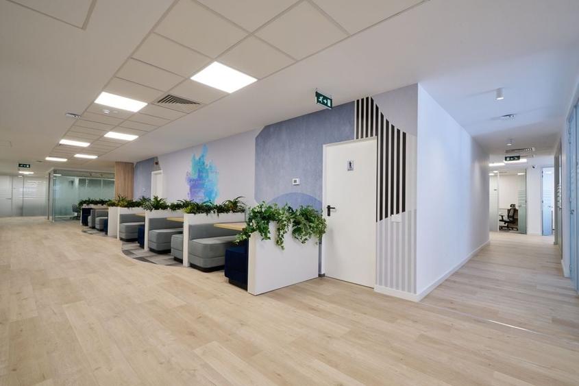 Oportunitate! Birouri de inchiriat in zona Universitate - 8