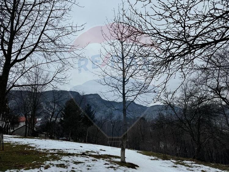 Teren Zarnesti /Bran/Predelut6 Strada Pe tarina - 4