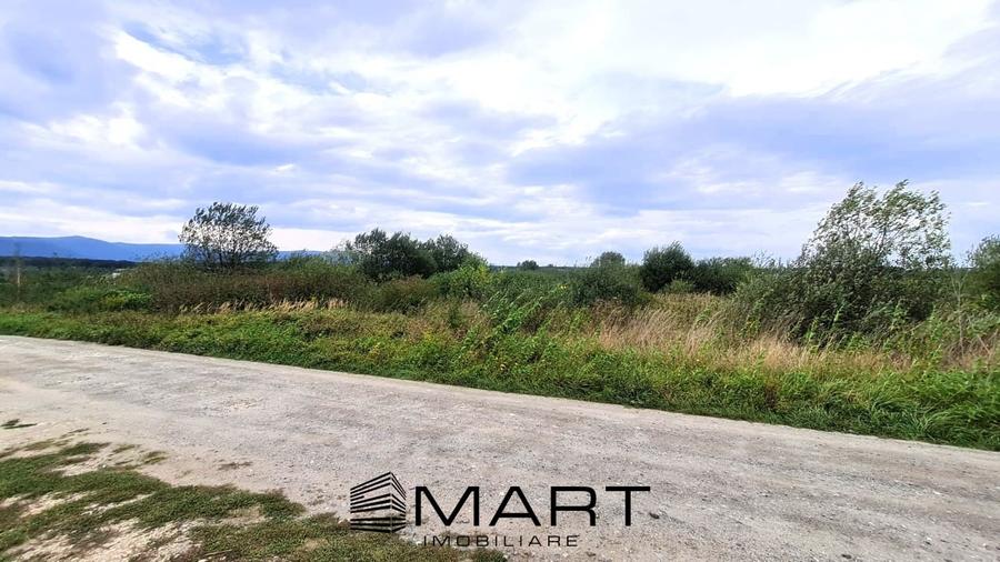 Teren extravilan 4800mp la intrare in Mohu - 4