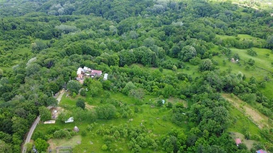 DEALUL MALULUI, TEREN 1500 MP INCONJURAT DE PADURE - 7