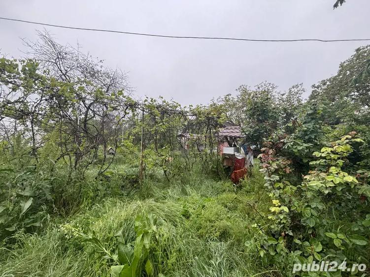 Vand casa 3 camere 100mp cu teren 2200mp, 60km de Bucuresti - 2