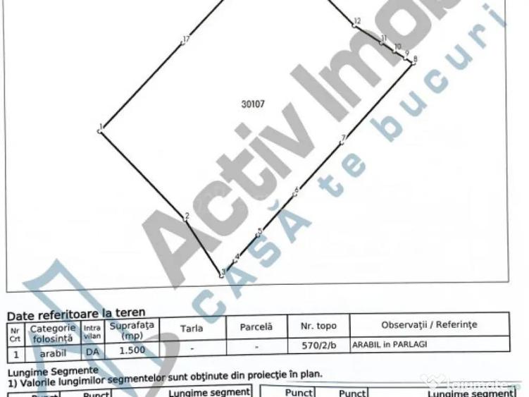 TEREN INTRAVILAN S-1500mp - Berzasca, jud. CS - 4