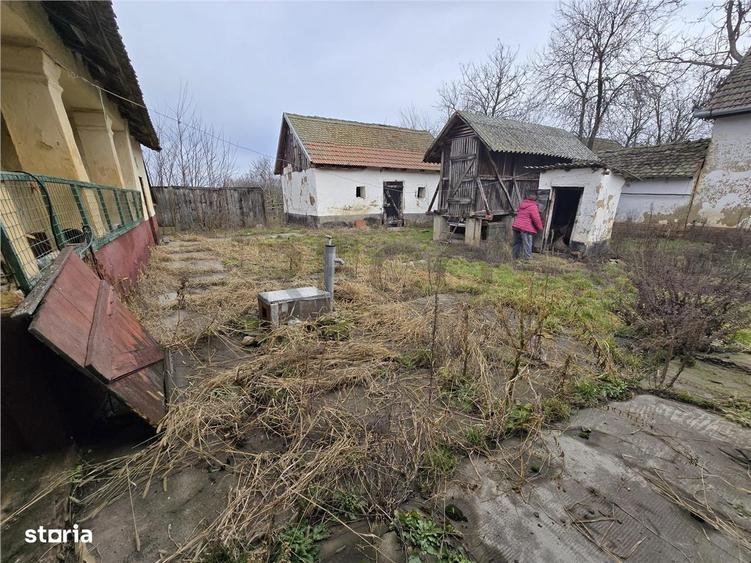 RECO Casa in Boiu - 4