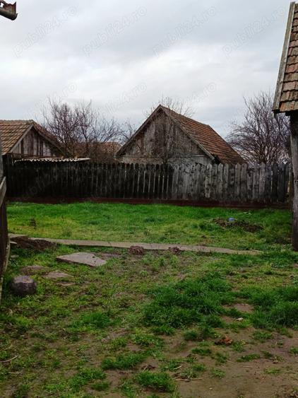 Casa de vanzare Ciumesti - 8