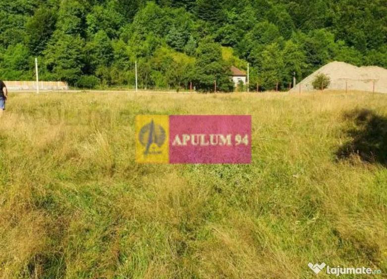 Teren Jude?ul Valcea - Brezoi, Valea lui Stan - 2