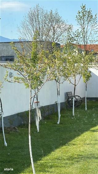 Apart/casa duplex Cristian 120mp si 500mp curte, P+E+pod mansardabil - 3
