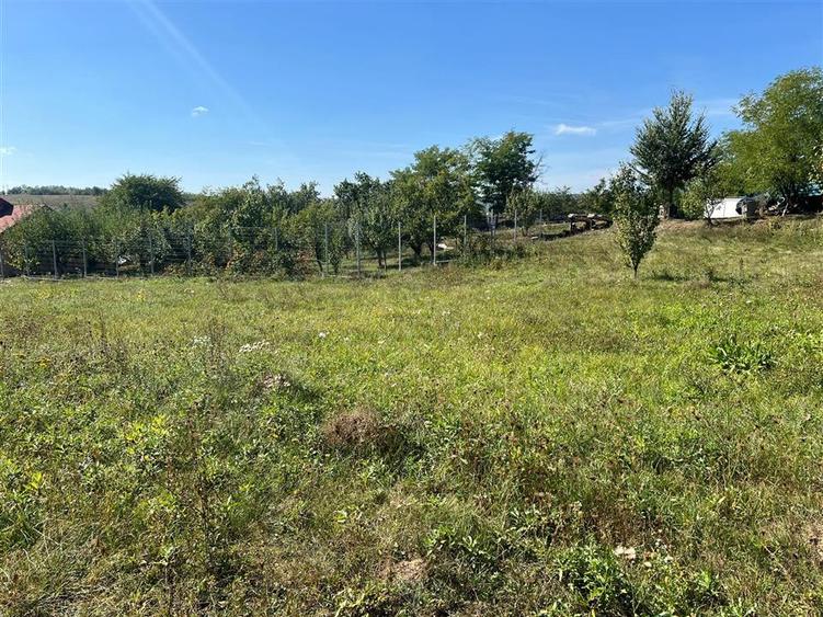 Teren intravilan 2.075 mp, construibil, comuna Drajna, Prahova - 4