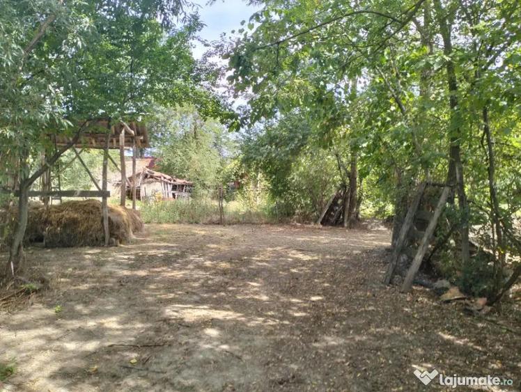Teren 4975 mp situat in intravilanul satului Belciug, Dragan - 6