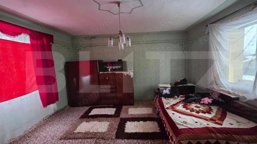 Casa cu teren 32 ari Viile Tecii, la 30 km de Bistri?a - 3