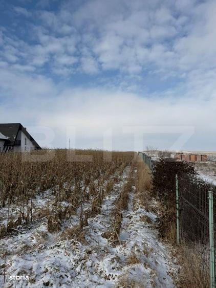 Teren extravilan, 33.6 ari, zona Frumoasa - Scheia. - 5