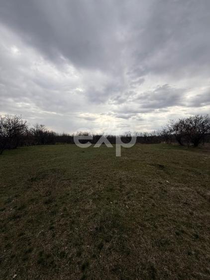 Teren intravilan 3052 mp | Băcești, Drăganu | asfalt | utilități la poartă - 3