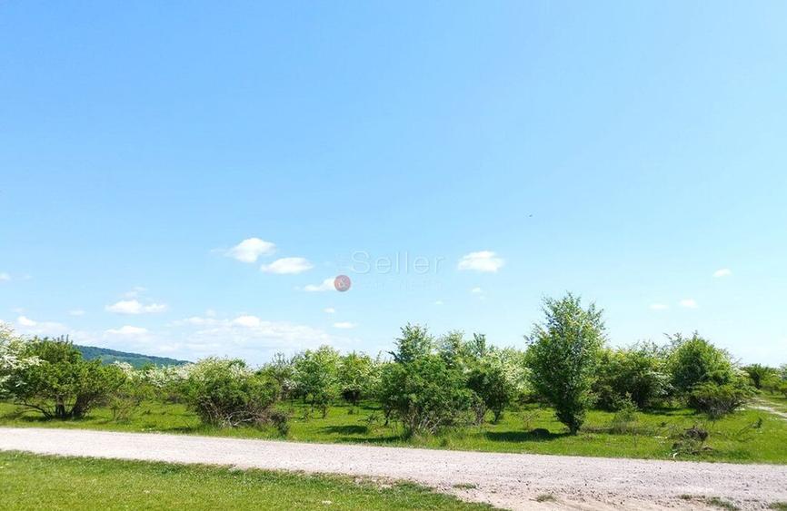 Teren Intravilan - 9