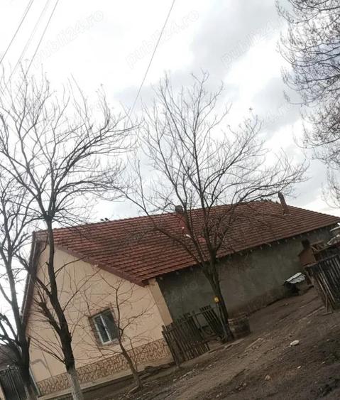 vand casa la gottlob jud Timi? - 1