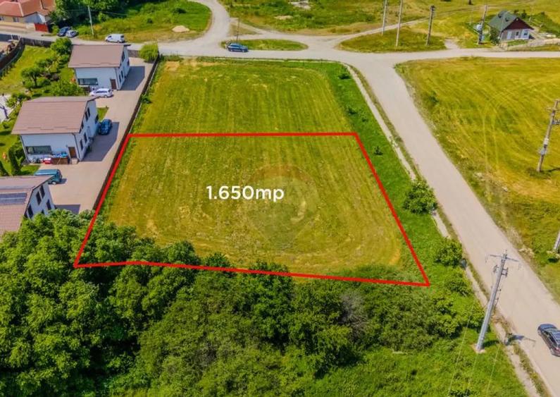 Teren 1,650mp Harman / Strada Andrei Saguna - 6