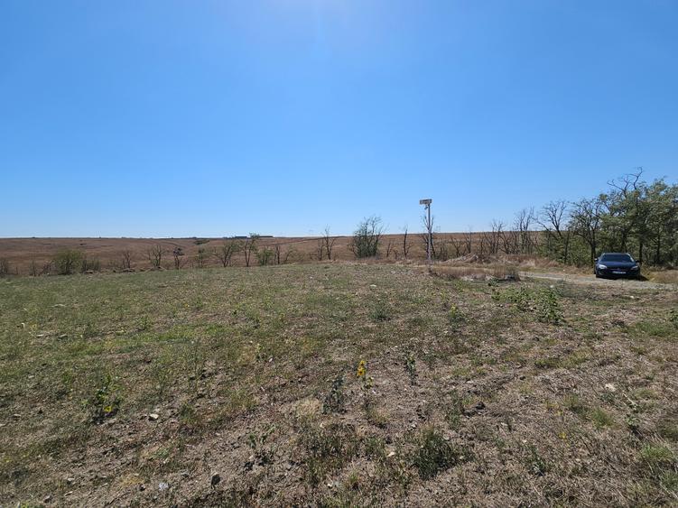 Teren Extravilan 10000 Mp Sibioara Constanta - 1